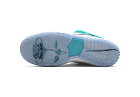Nike SB Dunk Low April Skateboards