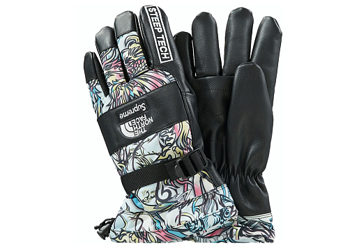 Supreme The North Face Steep Tech Gloves Multicolor Dragon