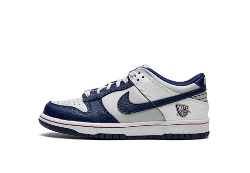 Nike Dunk Low EMB NBA 75th Anniversary Brooklyn Nets (GS)