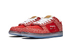 Nike SB Dunk Low Stingwater Magic Mushroom