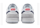 Nike Dunk Low White Grey Navy Aqua Mini Swoosh