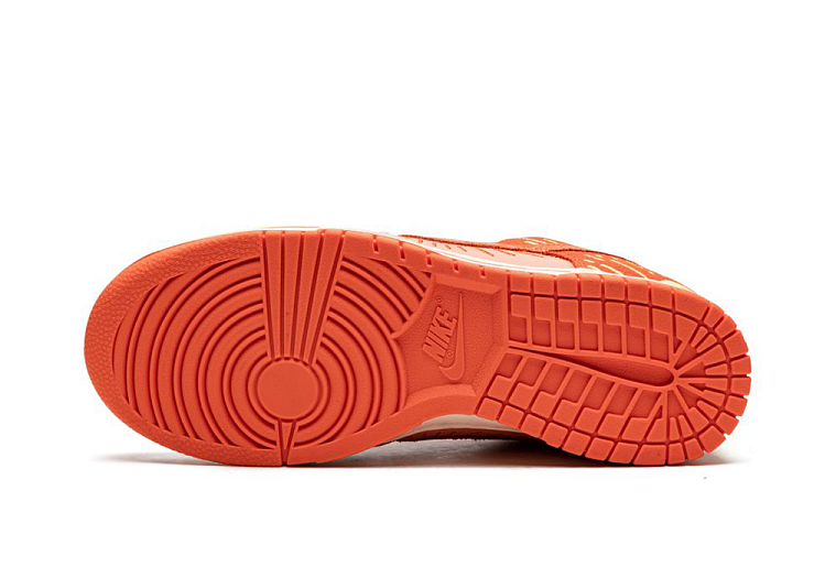 Nike Dunk Low NH Winter Solstice (W)