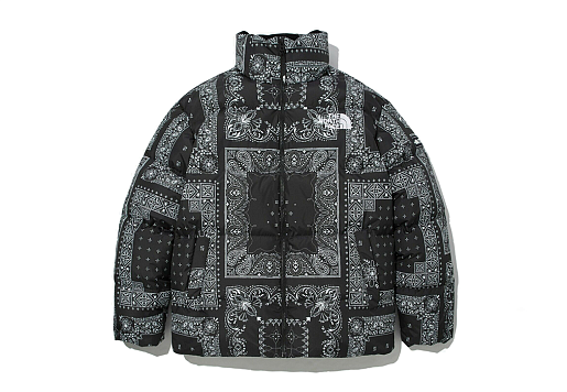 КУРТКА The North Face Novelty Lofty Down Jacket Black
